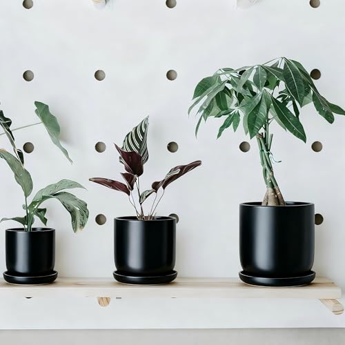 Ceramic Plant Saucer Pot Tray 6 (6+8+10in 3pack / Black)