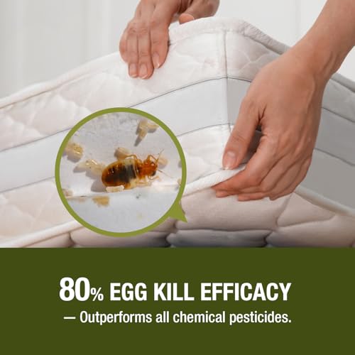 Bed Bug Killer 3 oz EcoVenger by EcoRaider (3 Ounce)