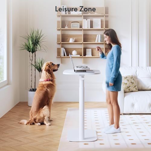24''Adjustable C Table Gas Spring Mobile Side End Table