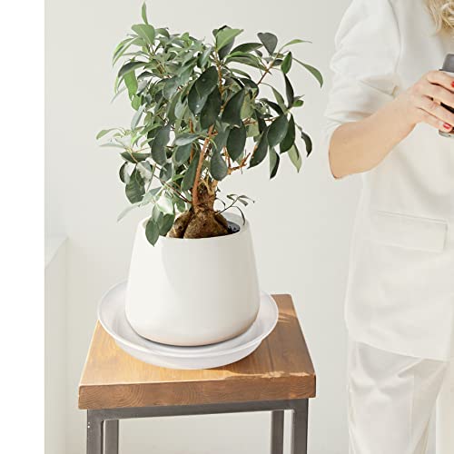 2 Pack of 8 inch Plant Saucer Clear (8" (2 pack) / Clear)