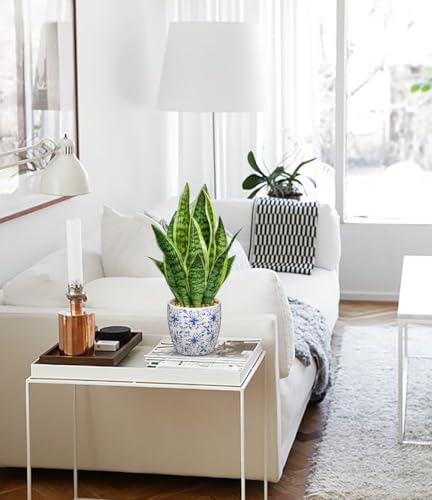 Artificial Snake Plant Potted Faux Sansevieria Trifasciata Plants