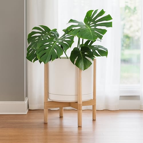 Ceramic Pot with Natural Wood Stand (14 Inch / Oatmeal Pot + Natural Stand)