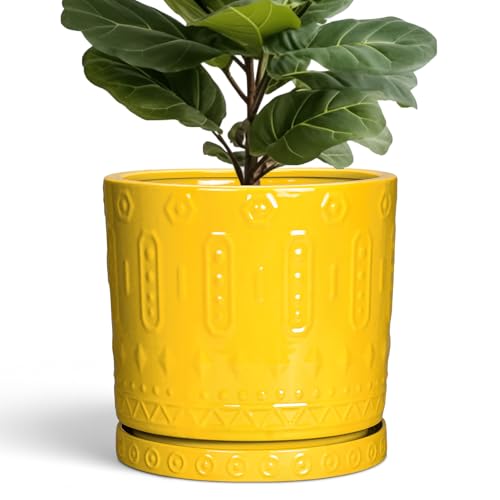 Ceramic Flower Pots (12 Inch / Yellow)