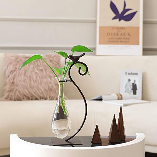 Desktop Glass Planter Hydroponics Vase