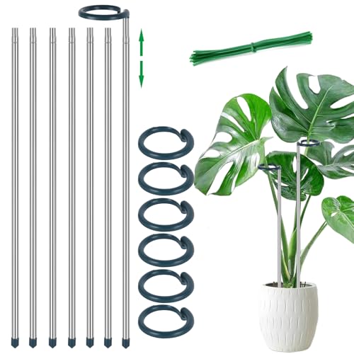 Extendable Monstera Plant Support Stakes (32.2inches-7Pack)