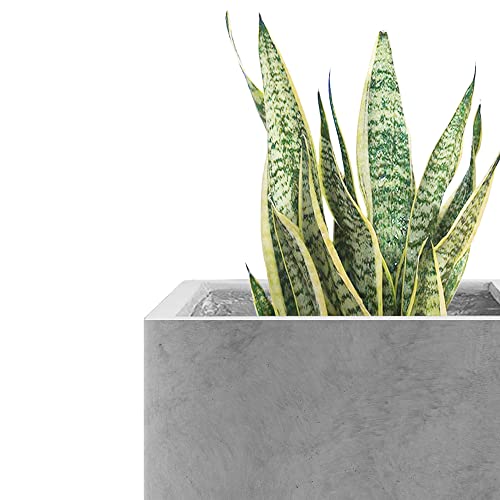 Small Square Pale Gray Concrete Planter 10" W (Concrete Gray / 10")