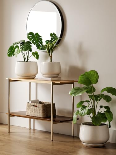 Ceramic Planter