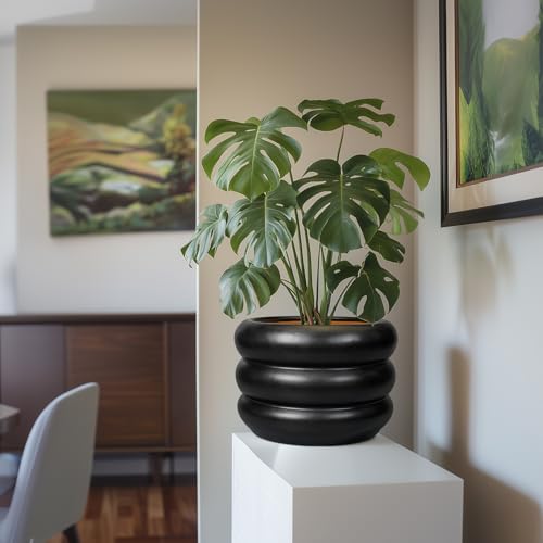 10 Inch Pot for Plants