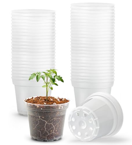 50 Pack 3 Inch Clear Nursery Pots with Drainage Hole (Clear / 3 Inch-50P)