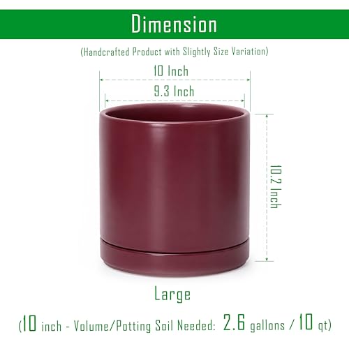 10 Inch Ceramic Planter Pot (Large / Cordovan)