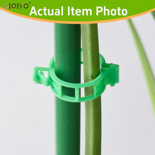 Plant Support Clips (Light Green)