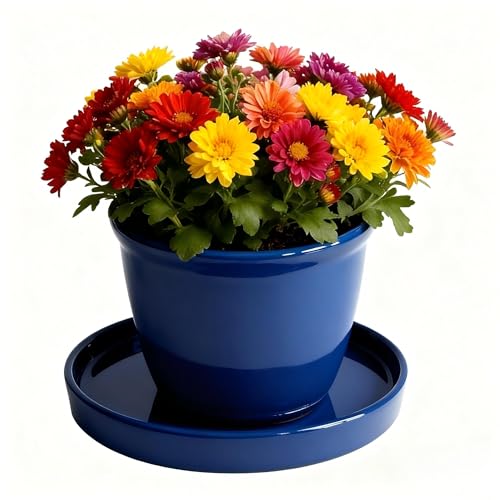 Ceramic Plant Saucer Pot Tray 6 (6+8+10in 3pack / Blue)