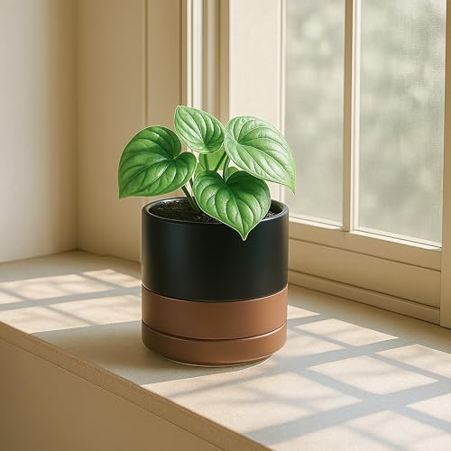 2 Pack Ceramic Pots with Saucers (2 Count)