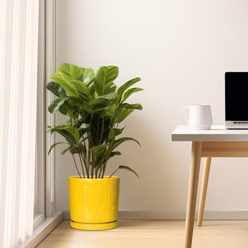 Ceramic Pots for Plants (10 Inch / Yellow)