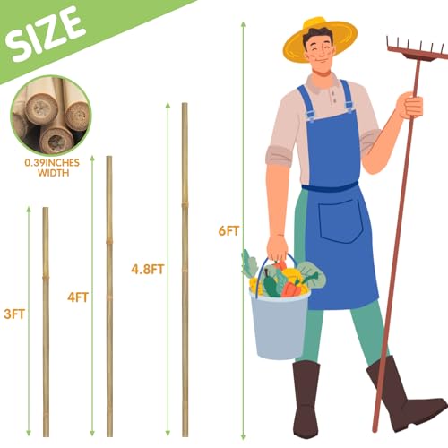 Natural Bamboo Garden Stakes (20 Count)