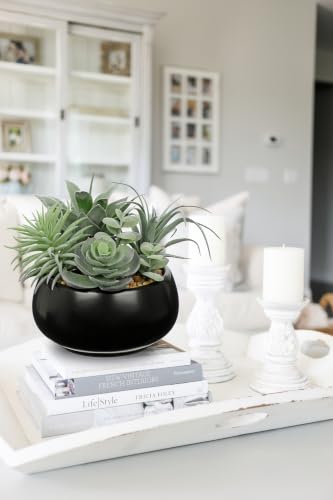 Artificial Succulents in Pots Fake Plants Faux Succulent Flowers Arrangement Potted Plant in Vase Black Ceramic Planter Bowl Office Desk Bathroom Shelf Indoor Outdoor Home Decor (Sage Green)