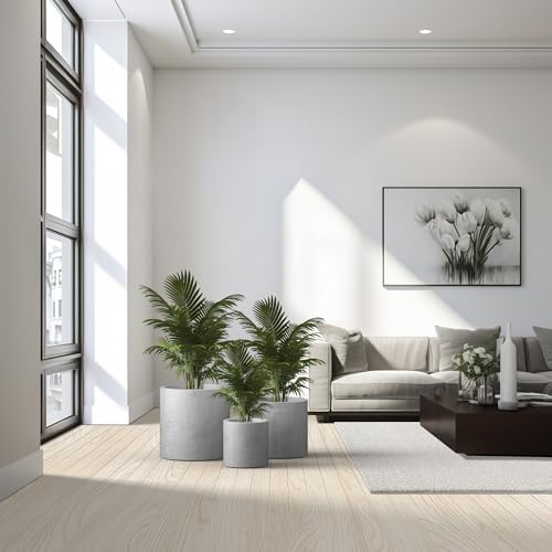 Set of 3 Pale Gray Concrete Cylinder Planters 15.8" 12.9" 9.8" Dia (Natural Concrete / 9.8",12.6",15.7" Dia)