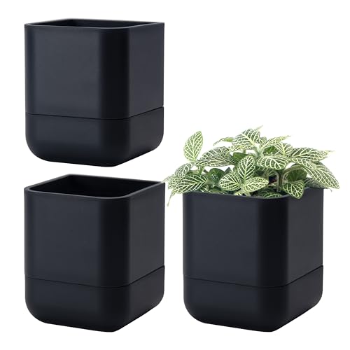 4.5 Inch Wall Mounted Self (4.5" (3 Pack) / Black)