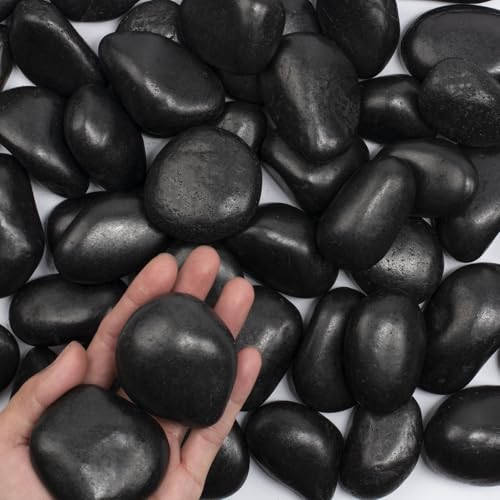 10 lbs Black River Rocks