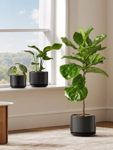 10 inch Plant Pot (Black / 10")