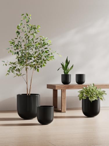 6 Inch Ceramic Plant Pot (Black / 6 Inch)