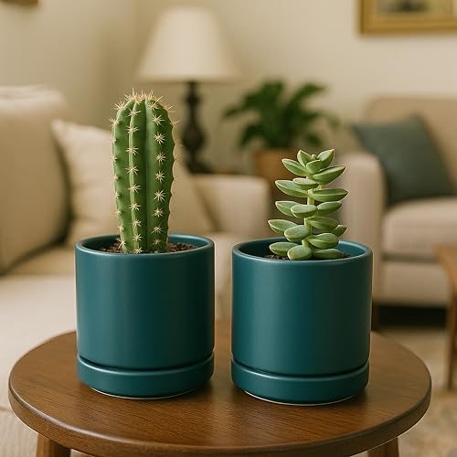 2 Pack Ceramic Pots with Saucers (2 Count)