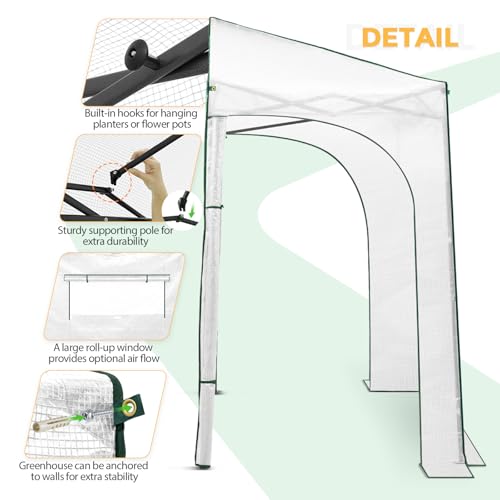 10x5 Easy Setup Pop Up Greenhouse (Clear/White / 10x5)