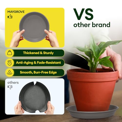 6 Pack 12" Plant Saucers Heavy Duty Plastic Plant Trays for Pots (6 Count)