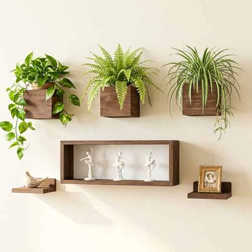 LaLaGreen Wood Planter Box for Indoor Plants (6-pc Set B)