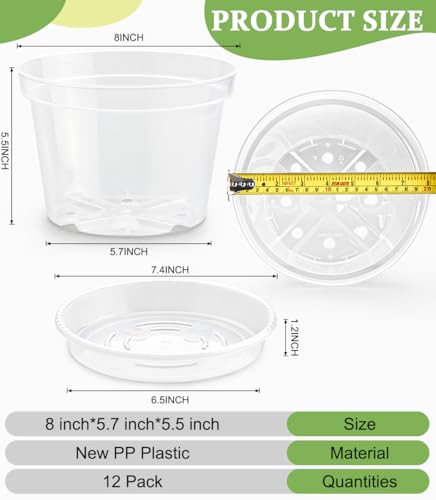 12 Pack 8 Inch Clear Plant Pots with Saucers (Clear / 8 Inch 12 Pack)