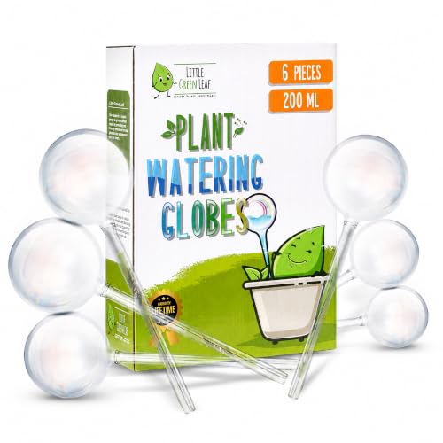 Plant Watering Globes 6 Pack (6pk 200ml Clear Rainbow)
