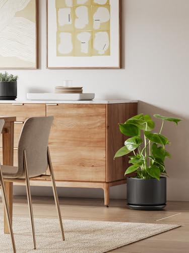 10 inch Plant Pot (Black / 10")