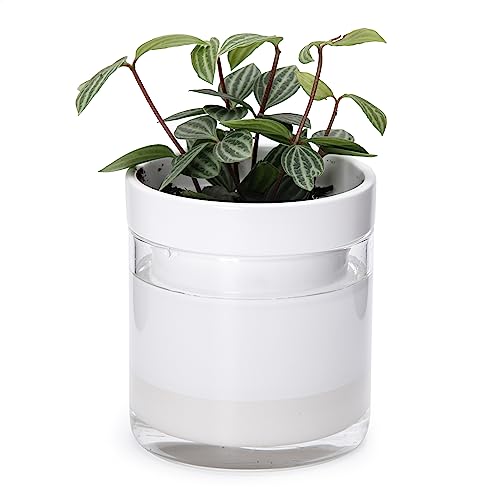 4 Inch Self Watering Planter