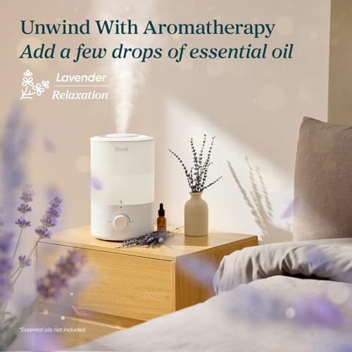 Humidifiers for Bedroom