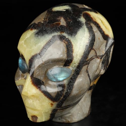 3.5" Dragon Septarian Stone Hand Carved Fairy Elf Alien Crystal Skull Companion with Eyes (Skullis 3.5" Dragon Septarian Stone 81)