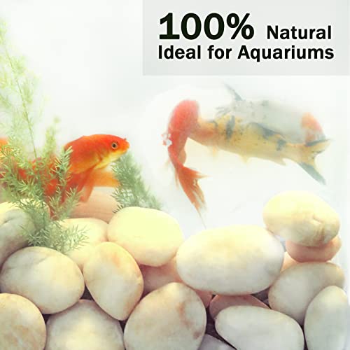 11LB Stones Pebbles River Rocks (11 Pounds / Cream White)