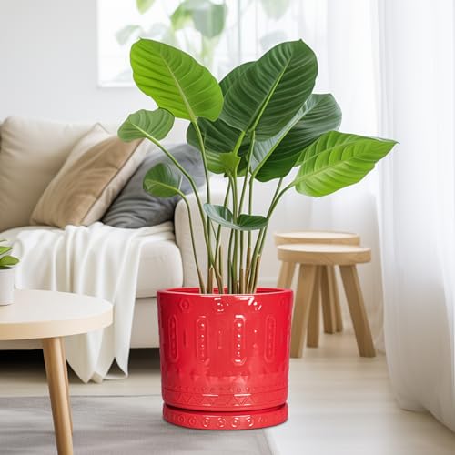 10 Inch Plant Pot (10 Inch / Red)