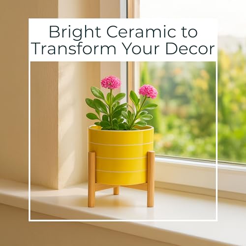 Striped Ceramic Planters with Wooden Stand as Home Decor Flower Pots for Entryway