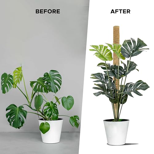 26.5" (2 Pack -16") Stackable Moss Pole for Monstera Plant Support | Moss Pole Sticks for Indoor Plants | Bamboo Plant Stakes,Climbing,Potted,Pothos| Philodendron & Creepers with Tie Accessory (16 Inches - (2 PCS))