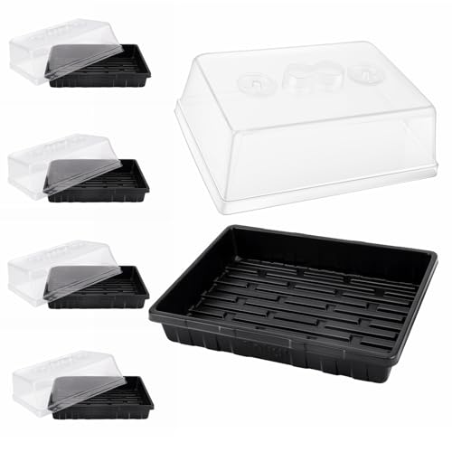 Thick Plastic 5 (5 Set)