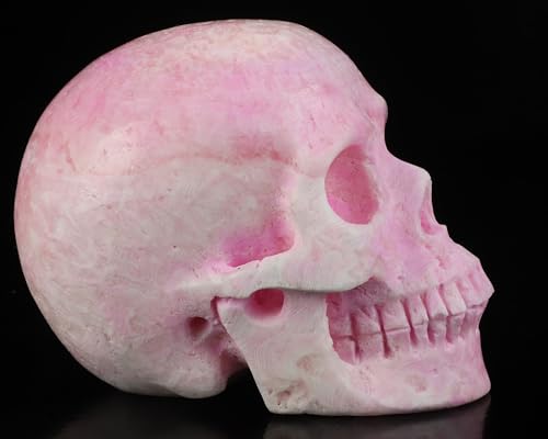 5.0" Pink Aragonite Realistic Crystal Skull (5.0 Inches Pink Aragonite 8)