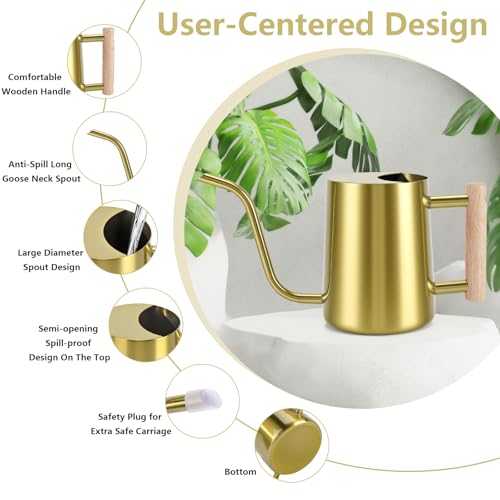 Watering Can Indoor Plants (Gold)