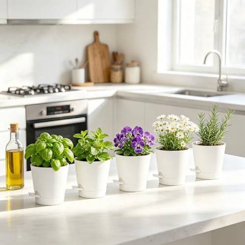 5 Pack 5 Inch African Violet Pots Self Watering (White / 5 inch 5 pcs)