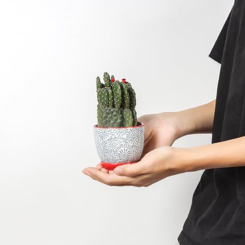 Ceramic Succulent Pots (Assorted Colors / 3.5 Inch, Set of 6)