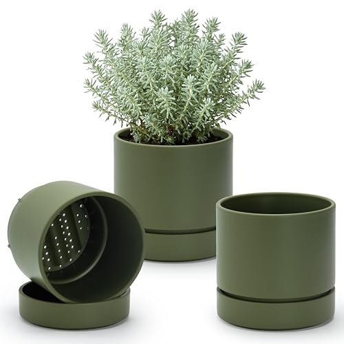 6 Inch Planter Pot with Drainage Hole & Saucer (6" (3 Pack) / Olive)