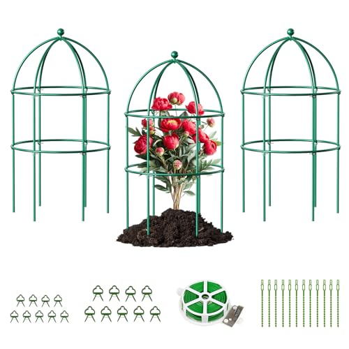3 Pack Peony Cage (31.5"H x 15.7"W/3PC / Green)