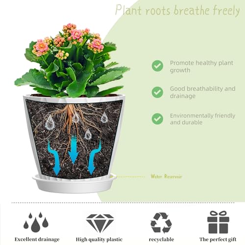 6 Inch Plant Pots (White / 6inch)