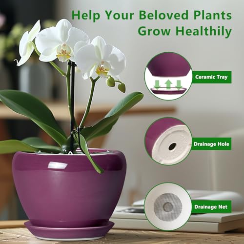 Ceramic Planter (8 Inch / Purple)