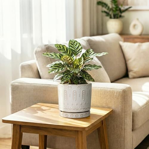 Ceramic Plant Saucer (5.6 Inch / Cream White)