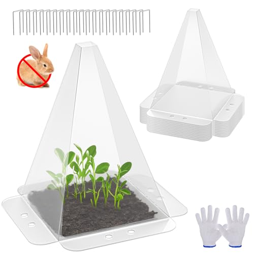 10 Pack Garden Cloches (Transparent)